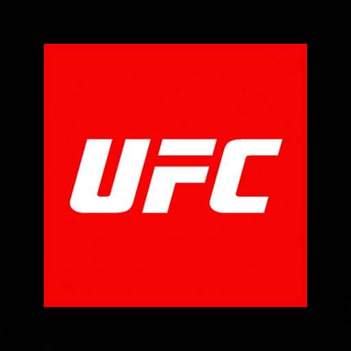 UFC 335